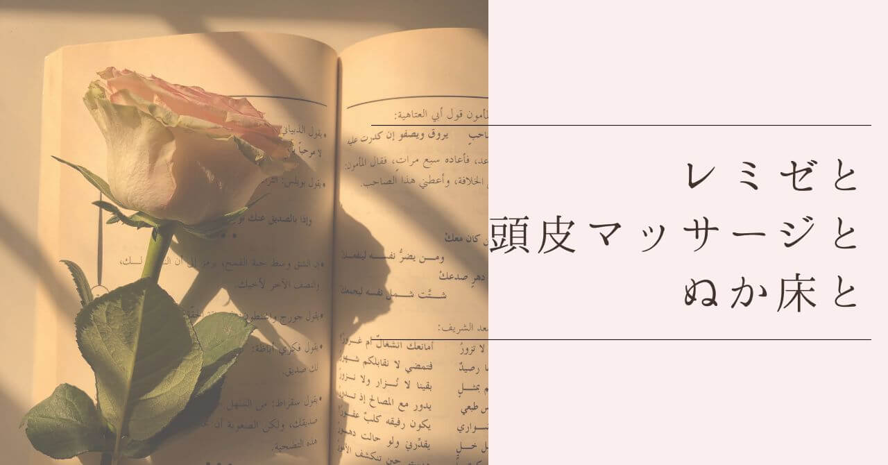 最近の日常２