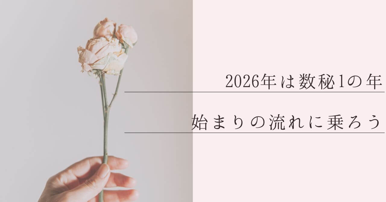 2026年_数秘1